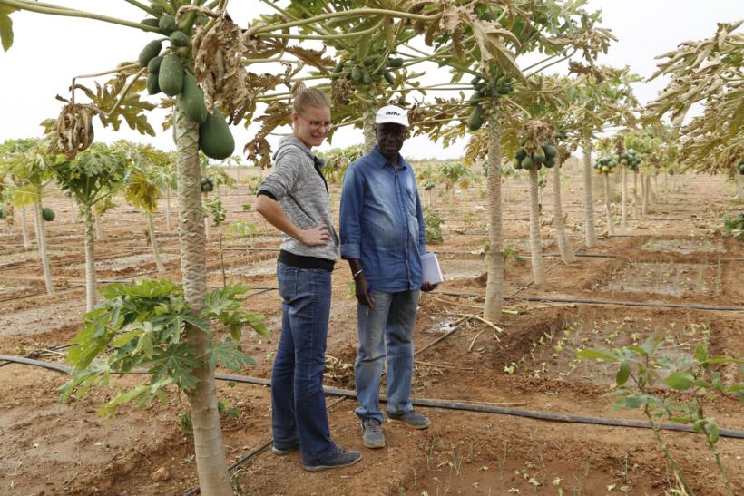 Projektleiter Abbé Albert Mbaye und Fachkraft Kathrin Heil inspizieren die landwirtschaftliche Anlage in Sanghé